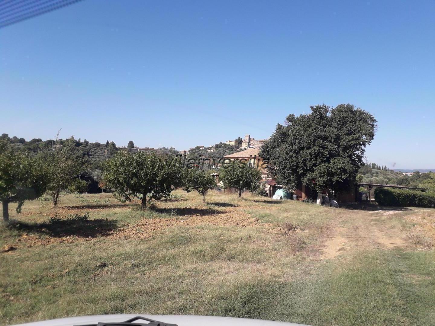 Terreno Agricolo in vendita a Manciano