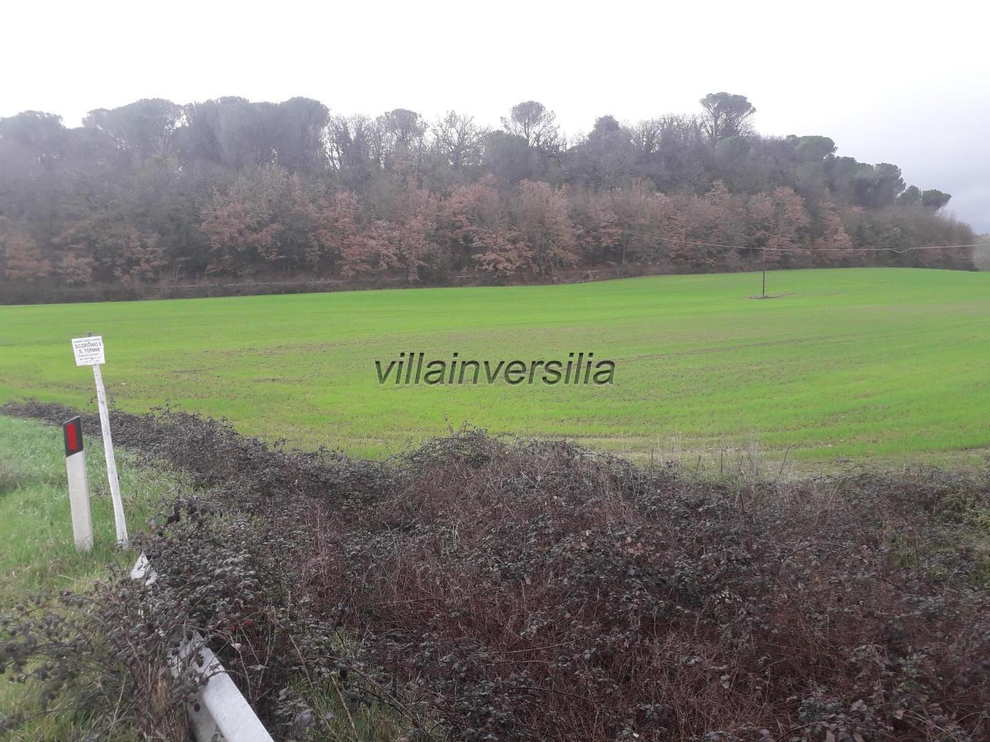 Terreno Agricolo in vendita a Monteriggioni