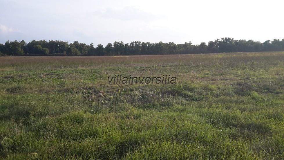 terreno agricolo in vendita a Castiglione del Lago