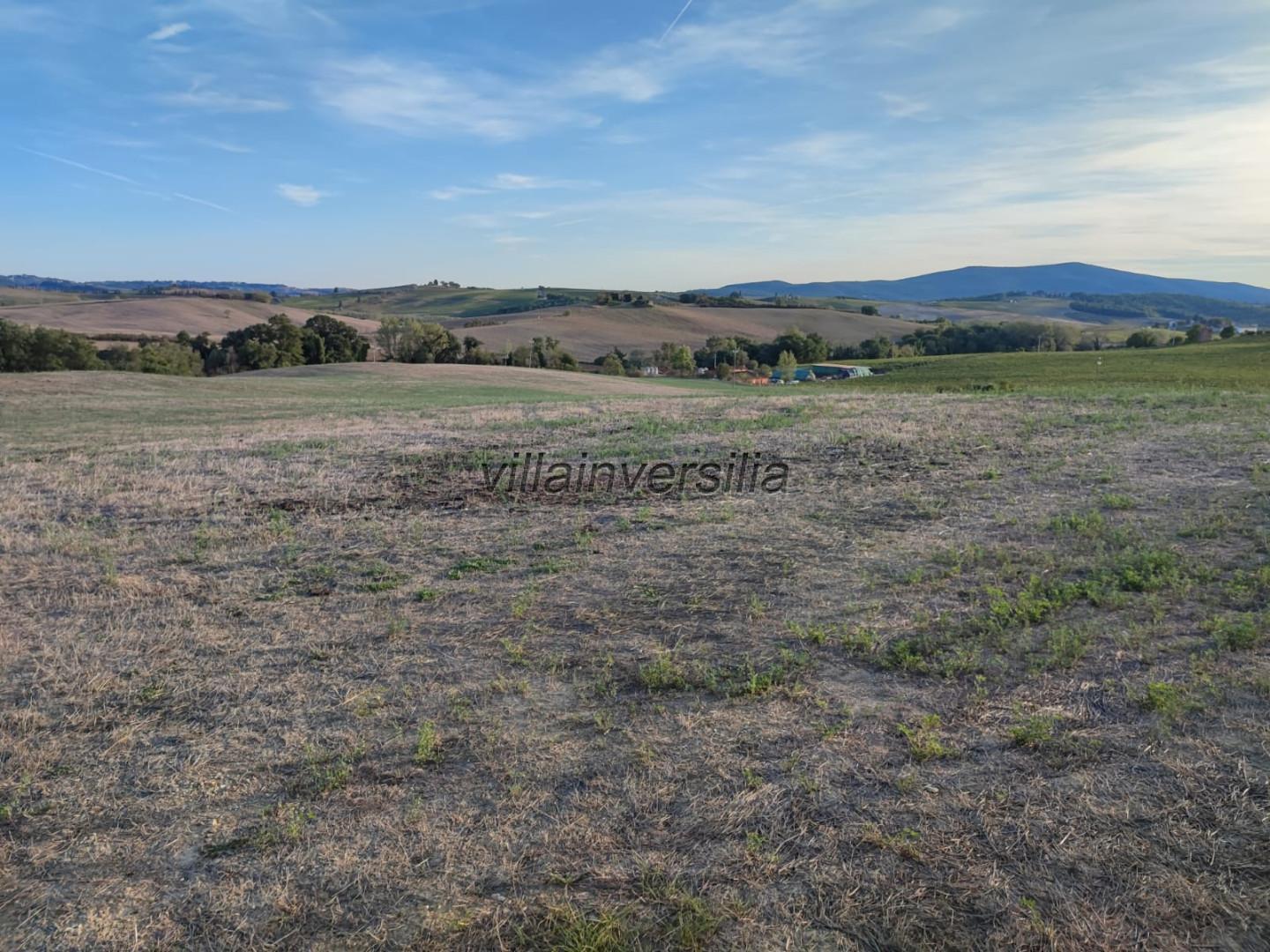Terreno Agricolo in vendita a Castellina in Chianti