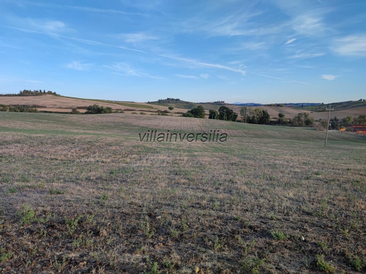 Terreno Agricolo in vendita a Castellina in Chianti