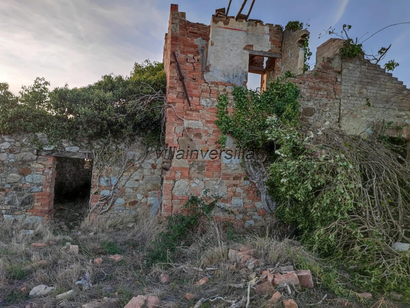 Terreno Agricolo in vendita a Castellina in Chianti