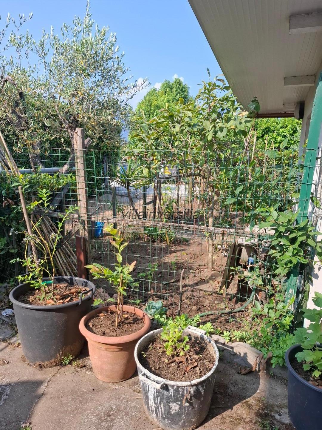 Appartamento con giardino a Camaiore