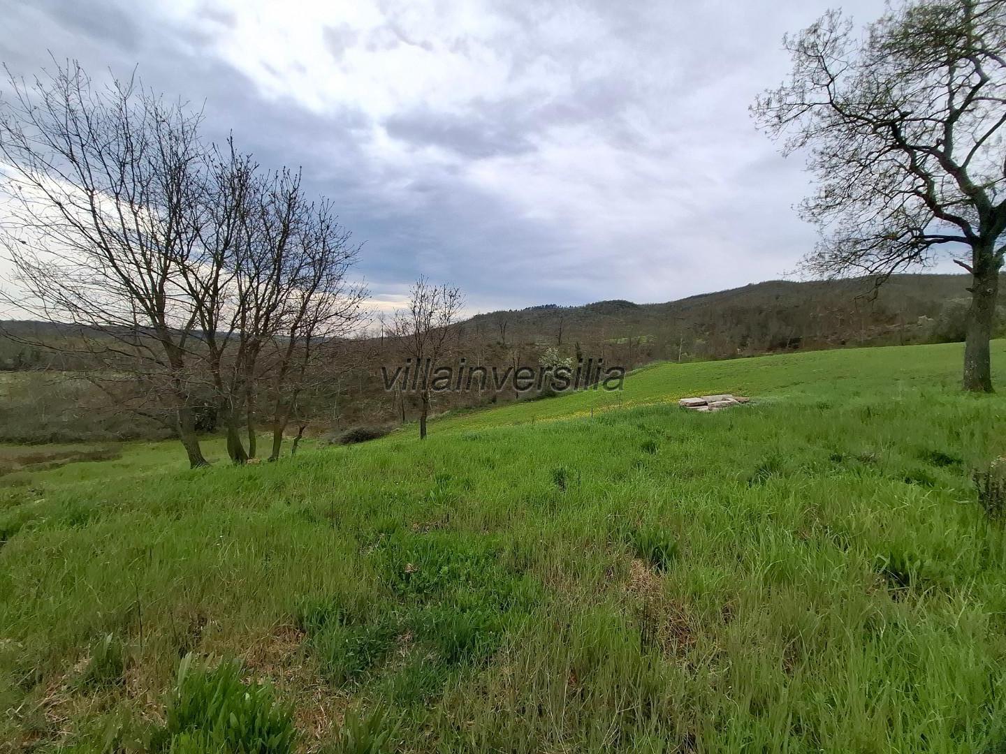 Attivit� commerciale in vendita a Manciano