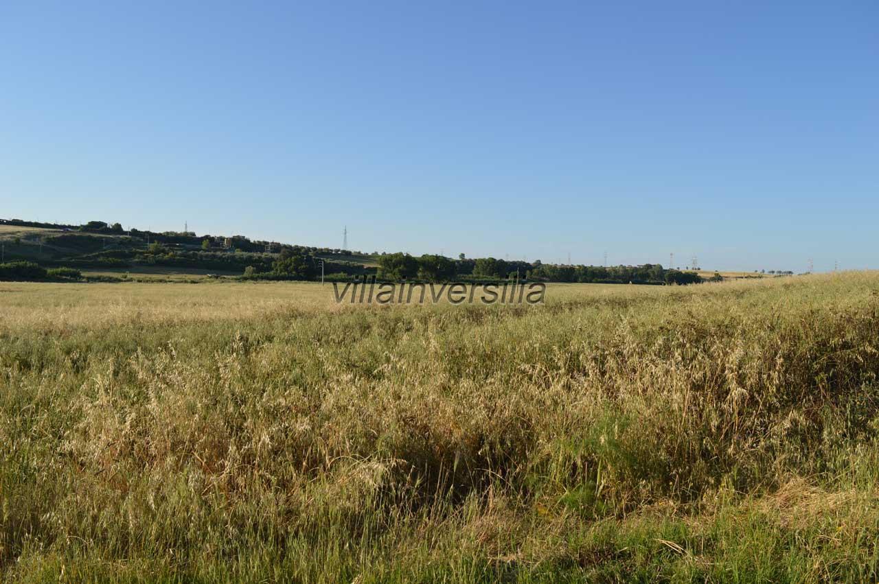 Terreno Agricolo in affitto a Montalto di Castro