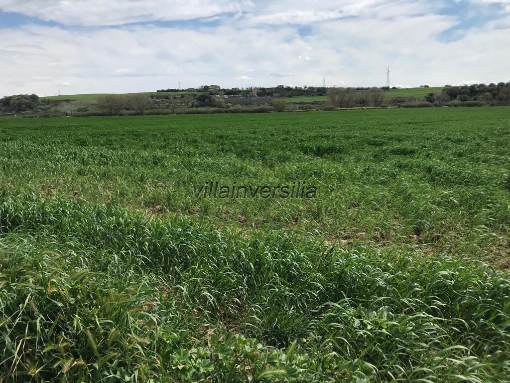 Terreno Agricolo in affitto a Montalto di Castro