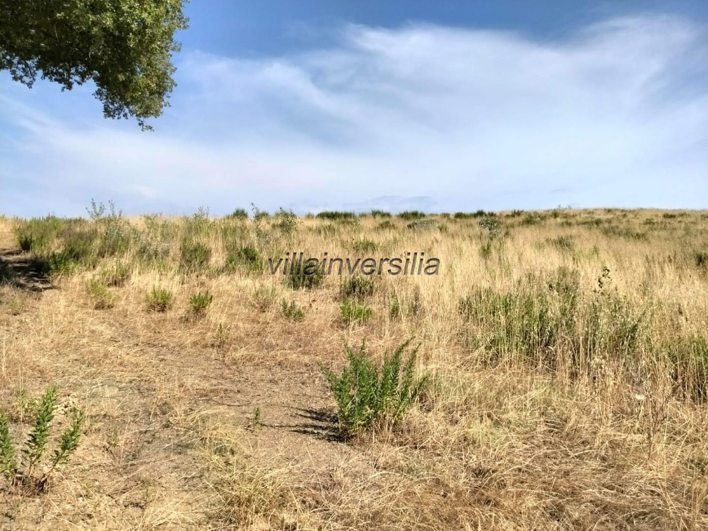 Terreno Agricolo in vendita a Magliano in Toscana