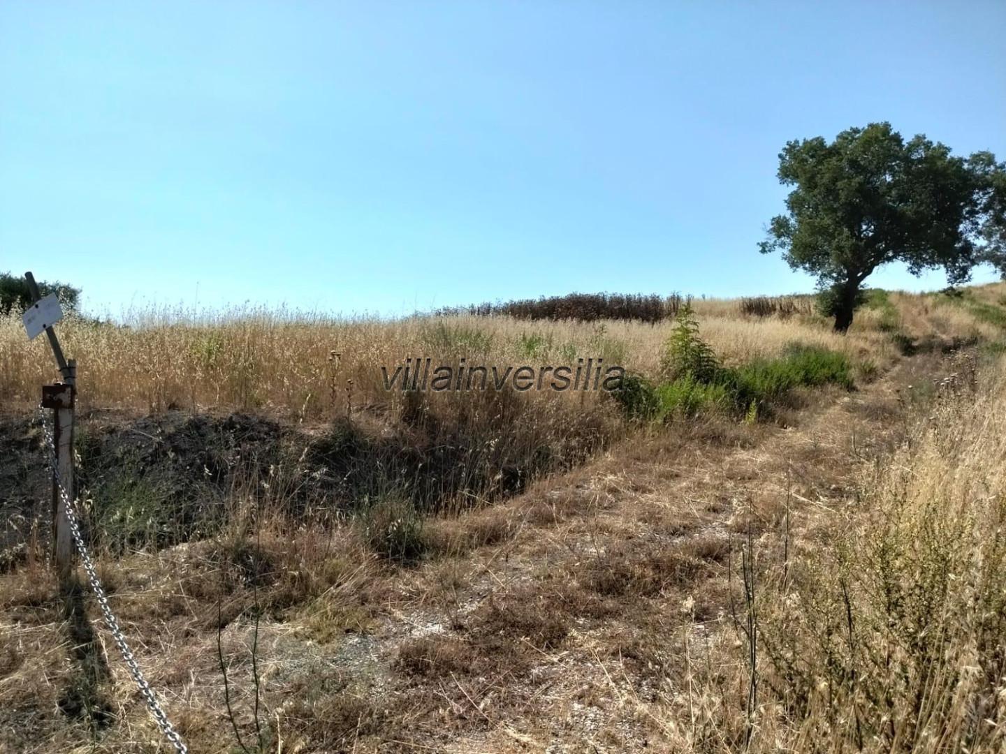 Terreno Agricolo in vendita a Magliano in Toscana