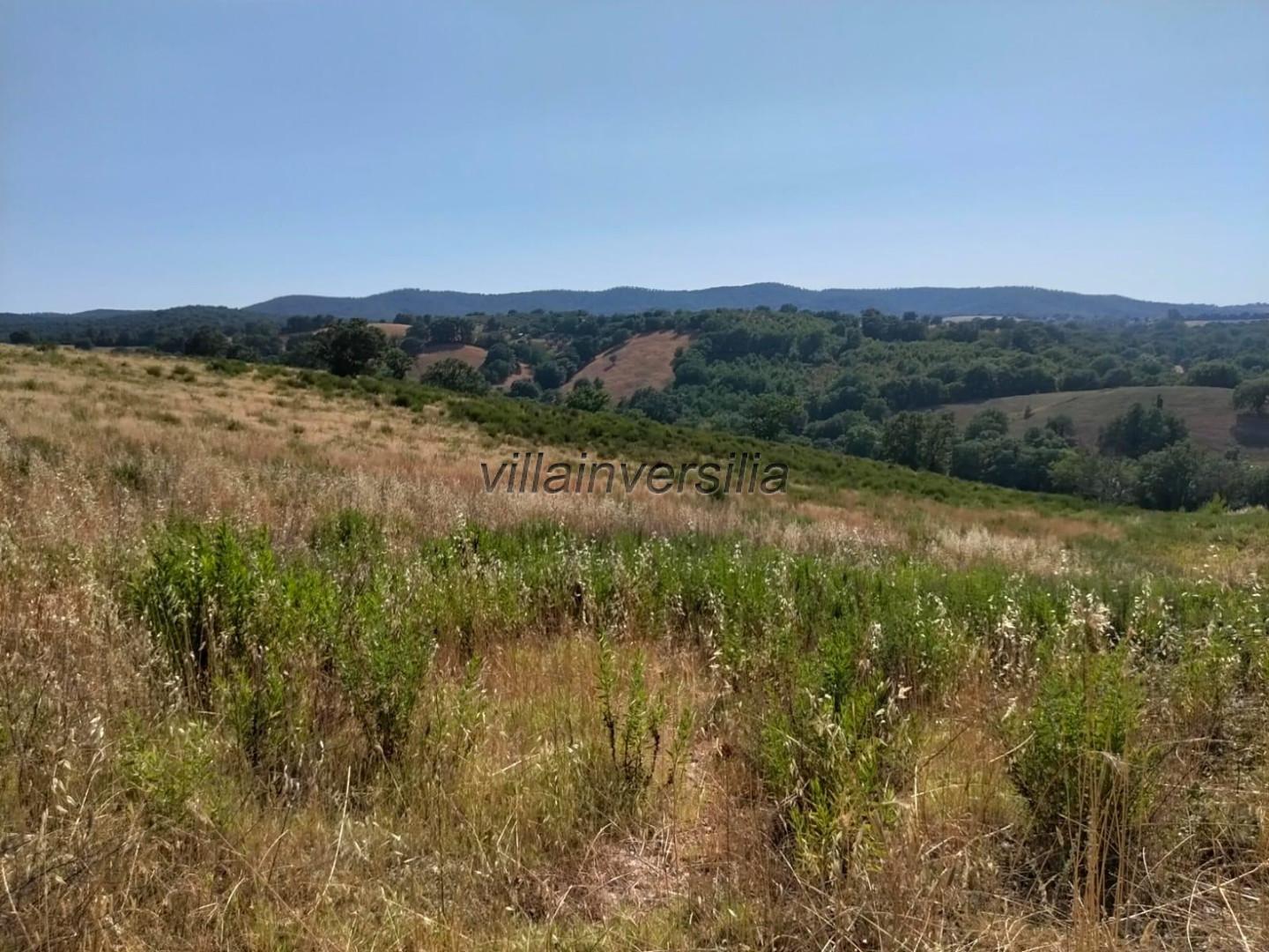 Terreno Agricolo in vendita a Magliano in Toscana