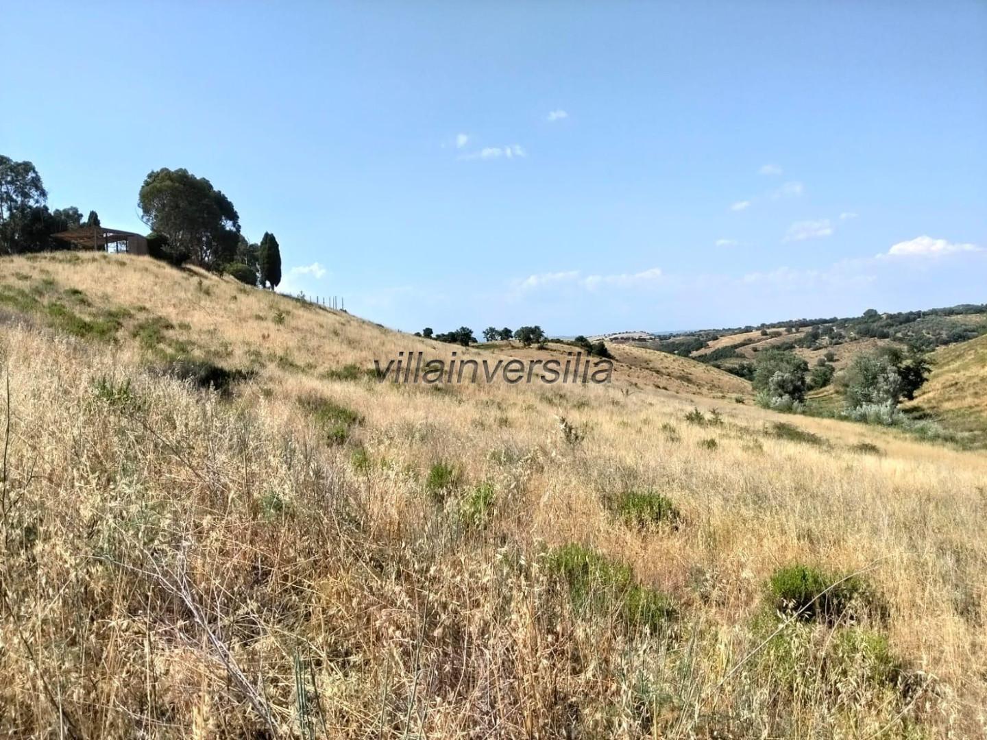 Terreno Agricolo in vendita a Magliano in Toscana
