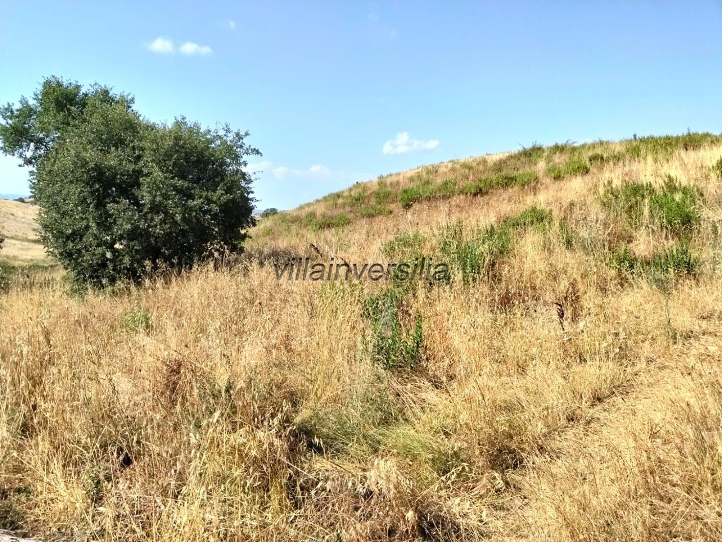 Terreno Agricolo in vendita a Magliano in Toscana