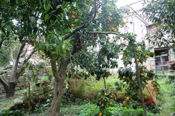 Casa indipendente con giardino a Ittiri