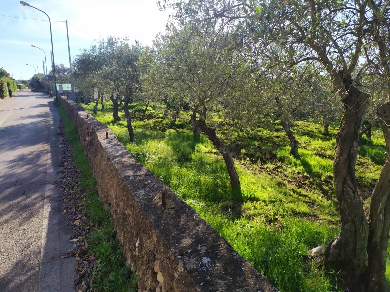 Terreno classe A4 a Sassari