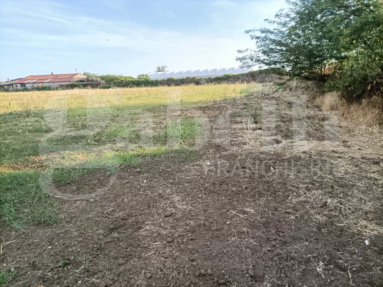 Terreno Agricolo in vendita a Battipaglia