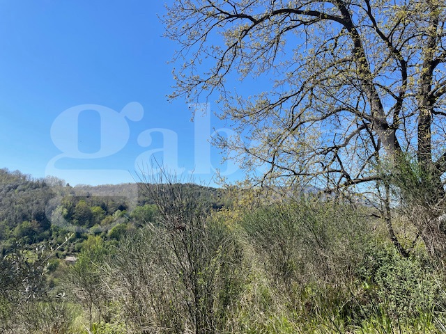 Terreno Agricolo in vendita a Ponzano Romano