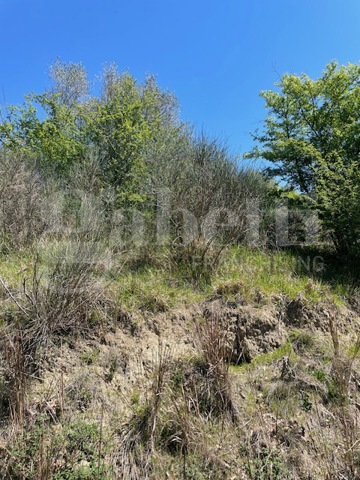 Terreno Agricolo in vendita a Ponzano Romano