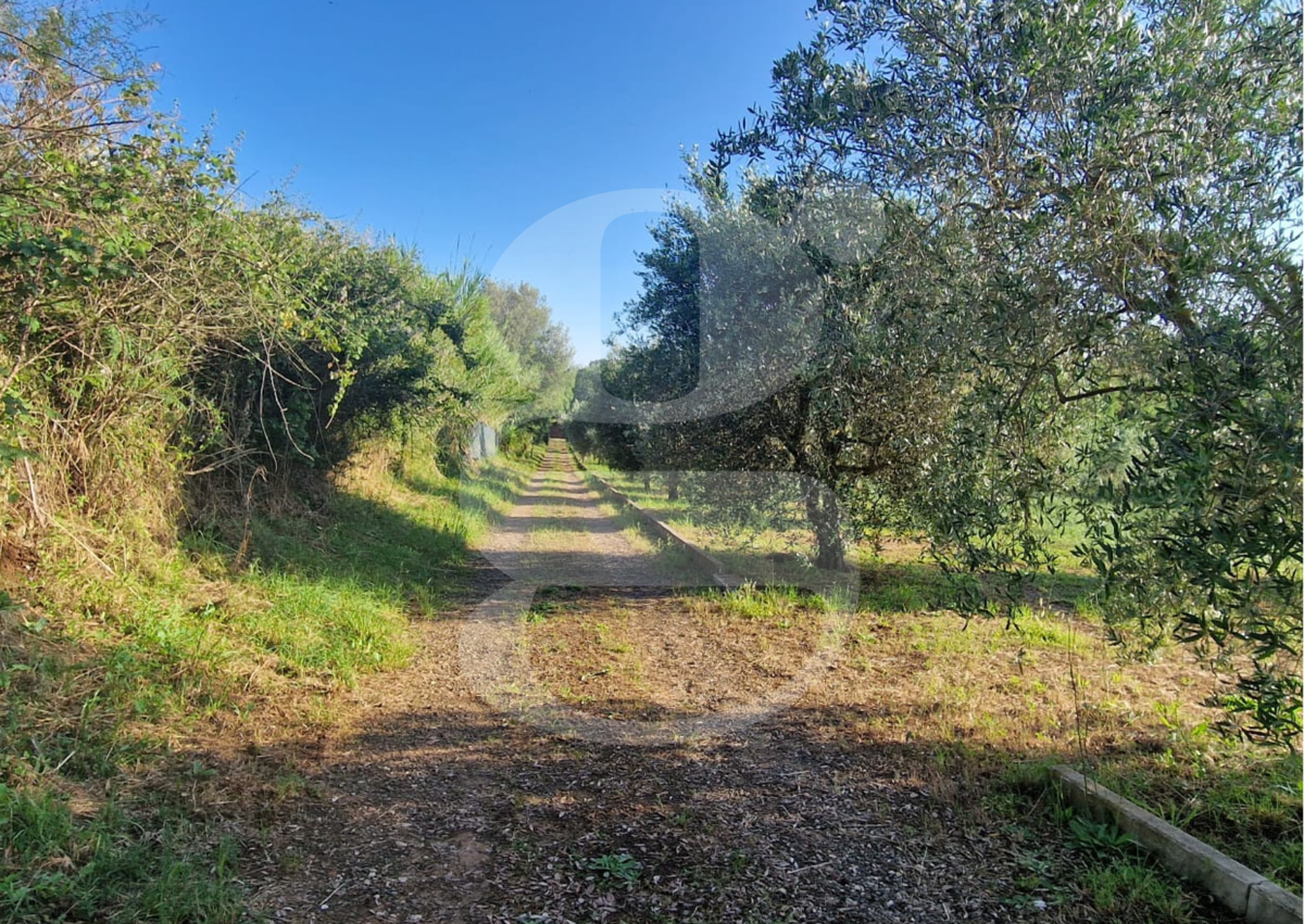 Terreno Agricolo in vendita a Nettuno