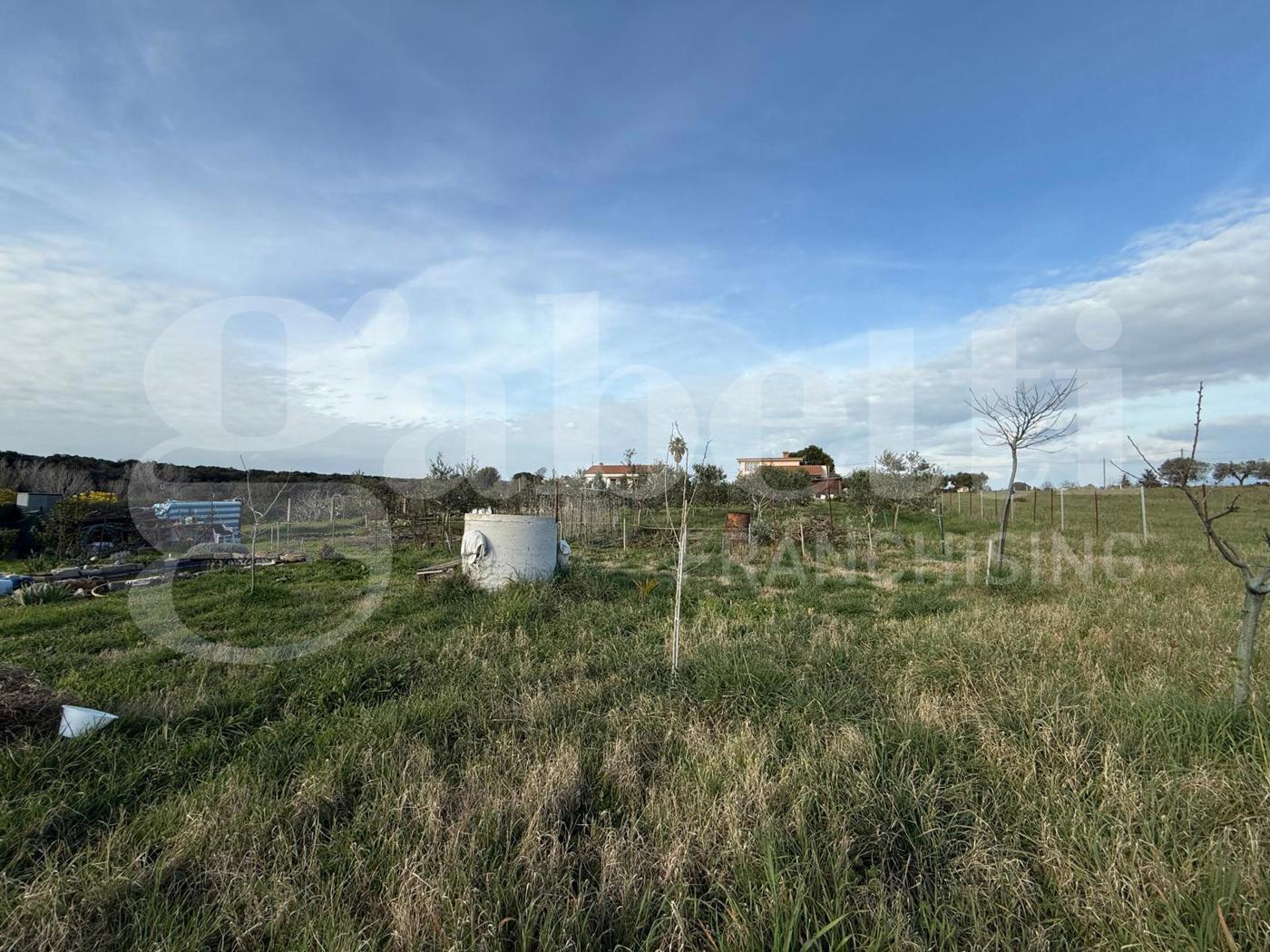 Terreno Agricolo in vendita a Nettuno