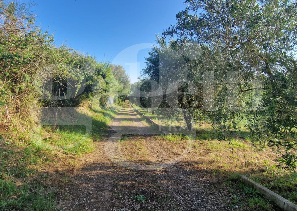 Terreno Agricolo in vendita a Nettuno