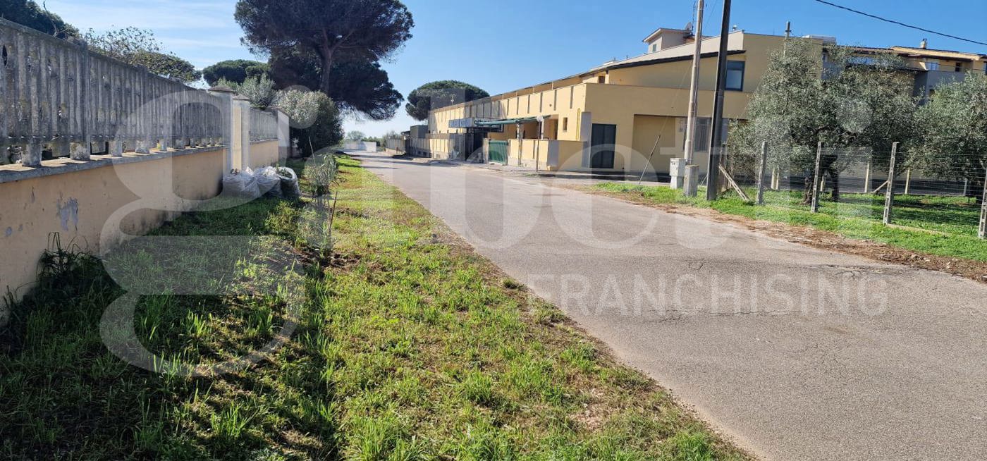 immagine annuncio 4 di 6