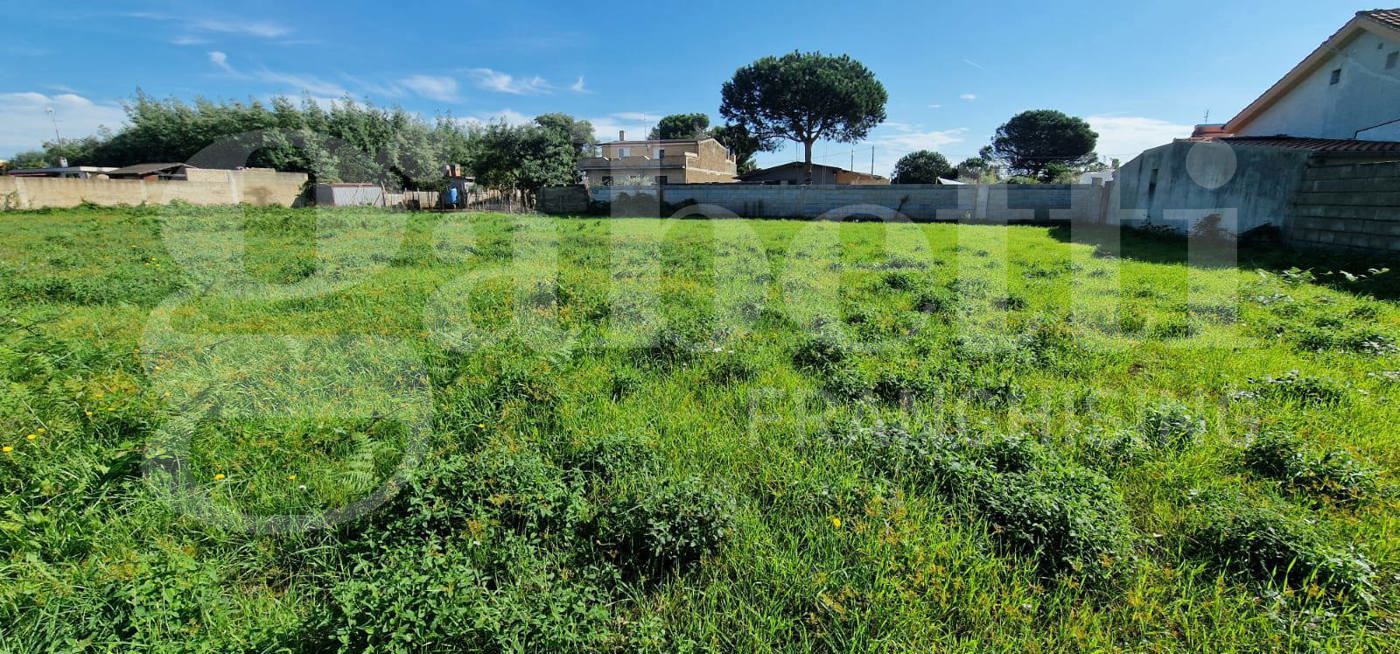 Terreno Edificabile in vendita a Nettuno