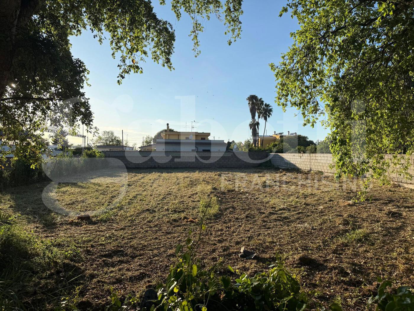 Terreno Edificabile in vendita a Nettuno