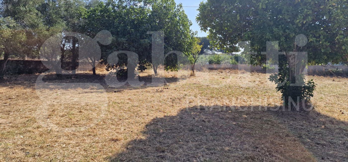 Terreno Agricolo in vendita a Nettuno