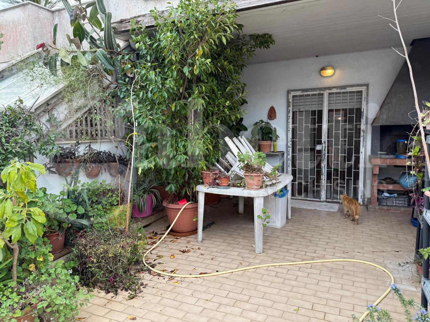 Attico con box a Nettuno