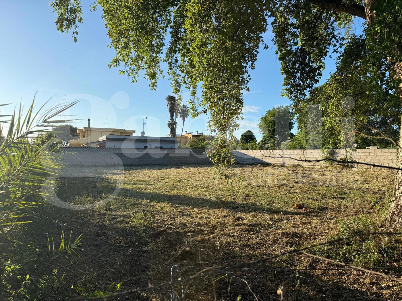 Terreno Edificabile in vendita a Nettuno