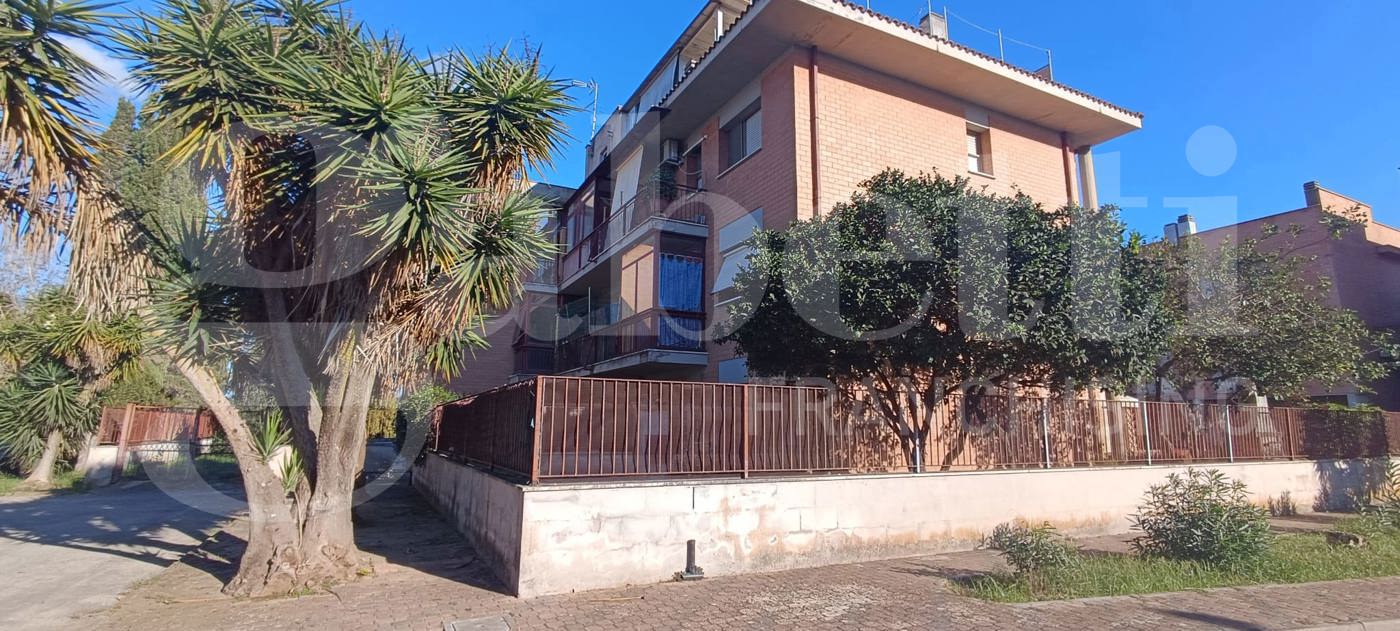 Quadrilocale con box doppio a Nettuno