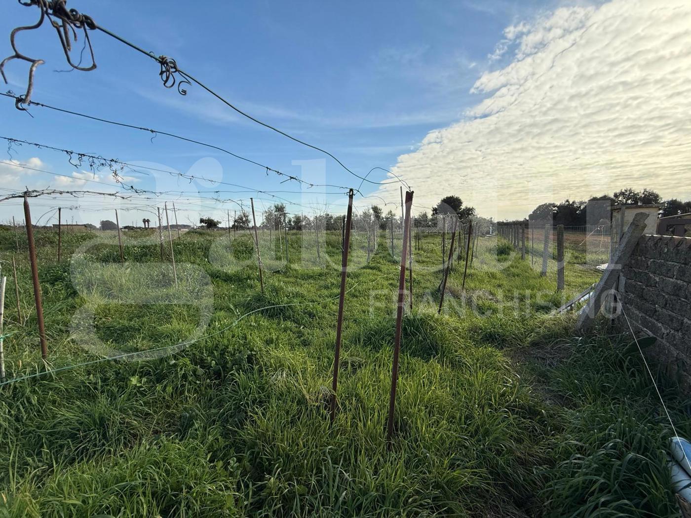 Terreno Agricolo in vendita a Nettuno