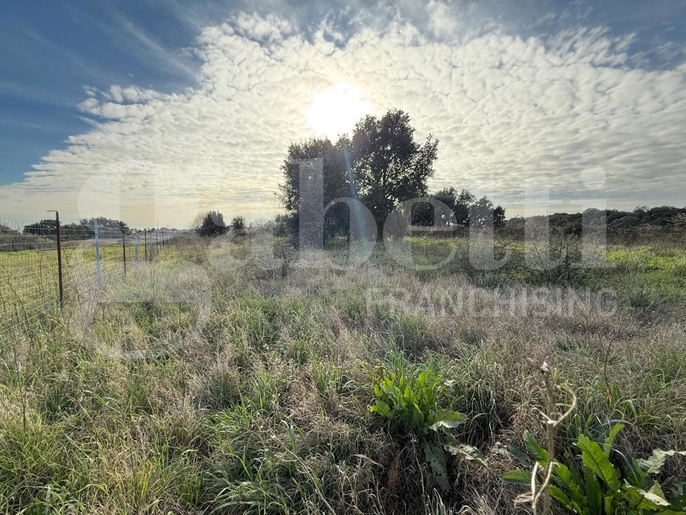 Terreno Agricolo in vendita a Nettuno