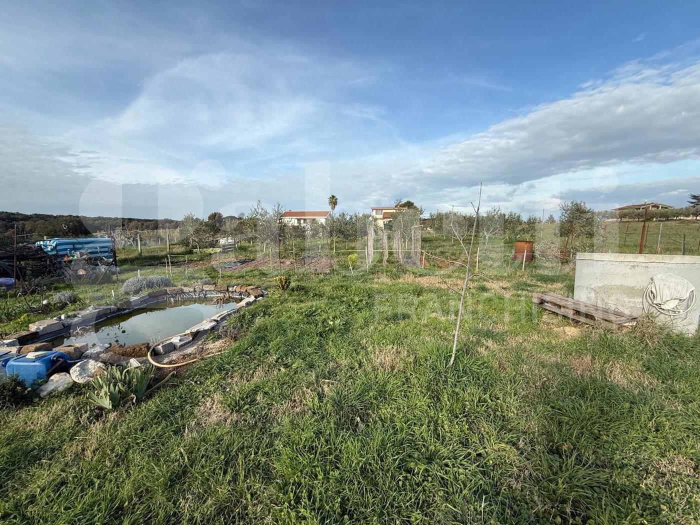 Terreno Agricolo in vendita a Nettuno
