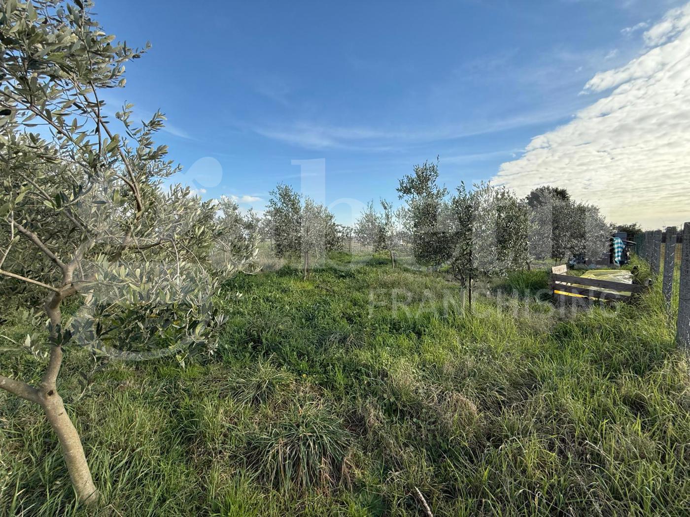 Terreno Agricolo in vendita a Nettuno