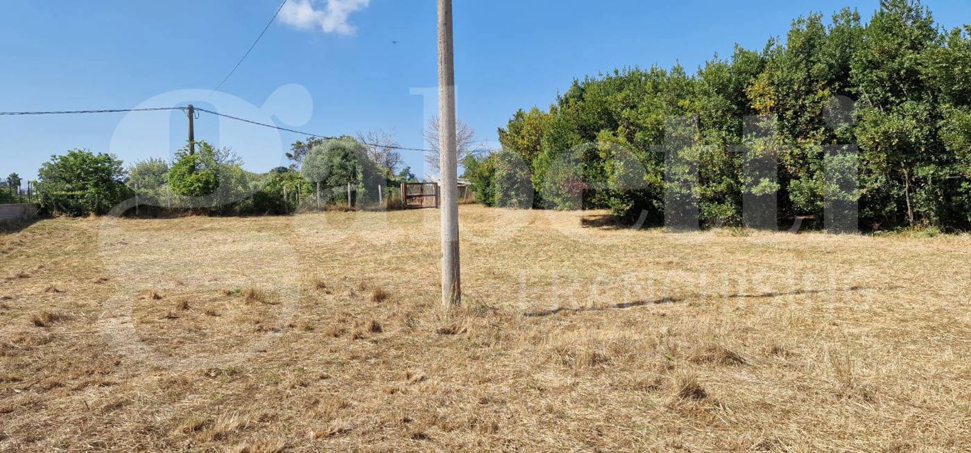 Terreno Agricolo in vendita a Nettuno