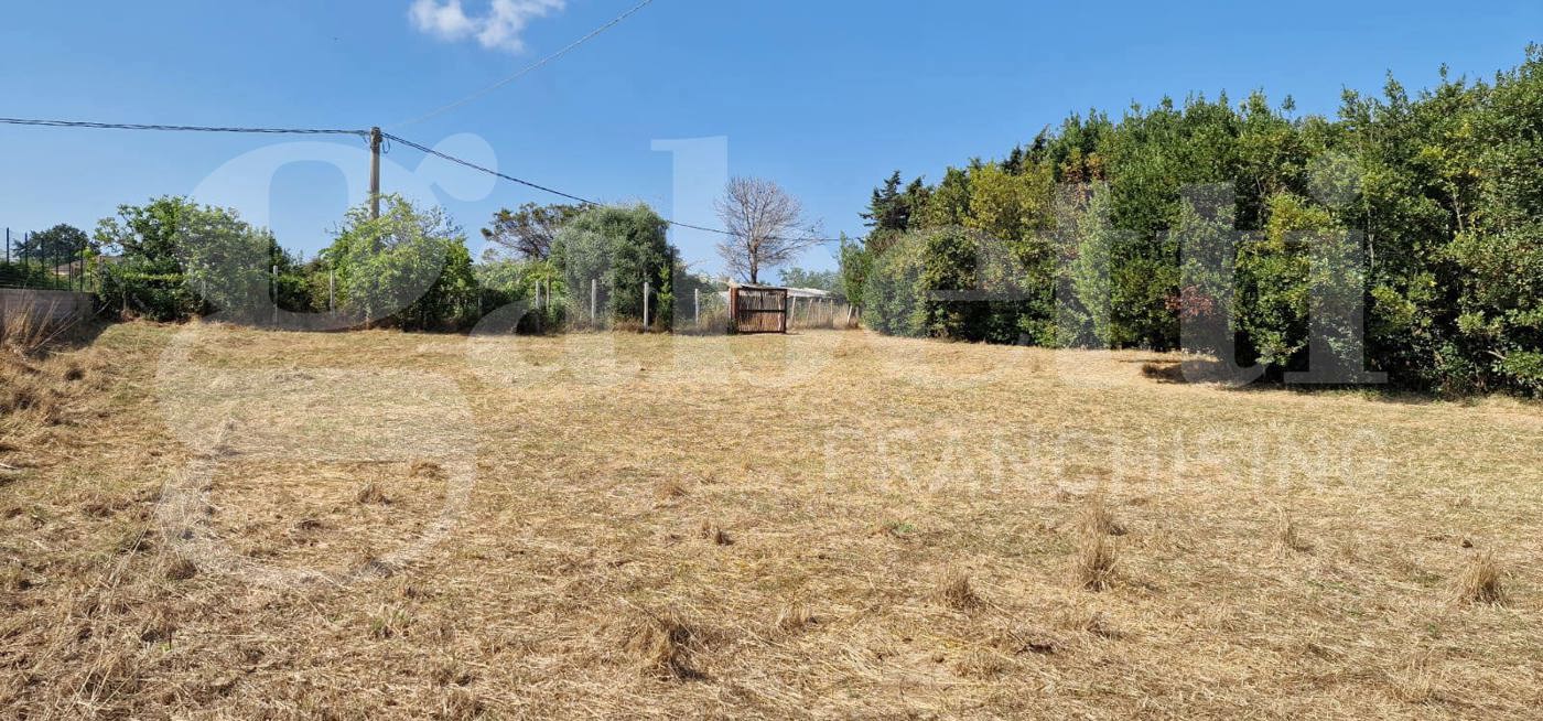 Terreno Agricolo in vendita a Nettuno