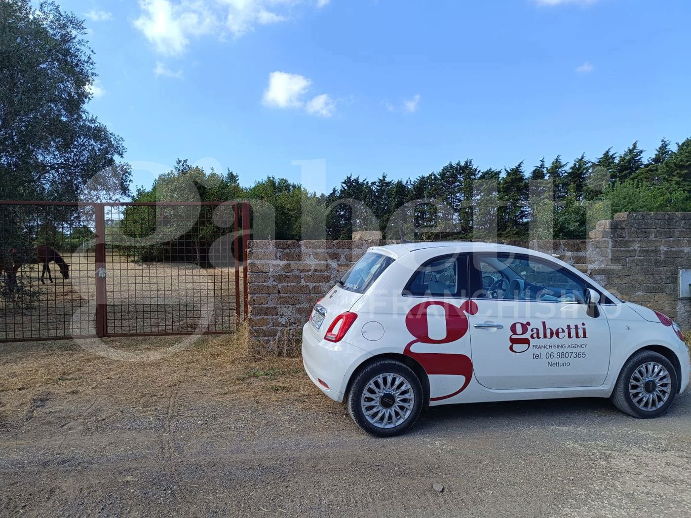 Terreno Agricolo in vendita a Nettuno
