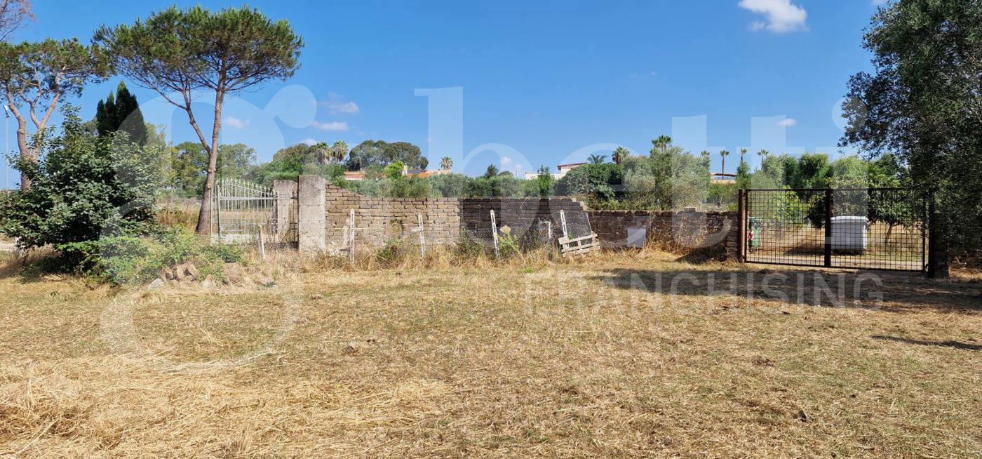 Terreno Agricolo in vendita a Nettuno