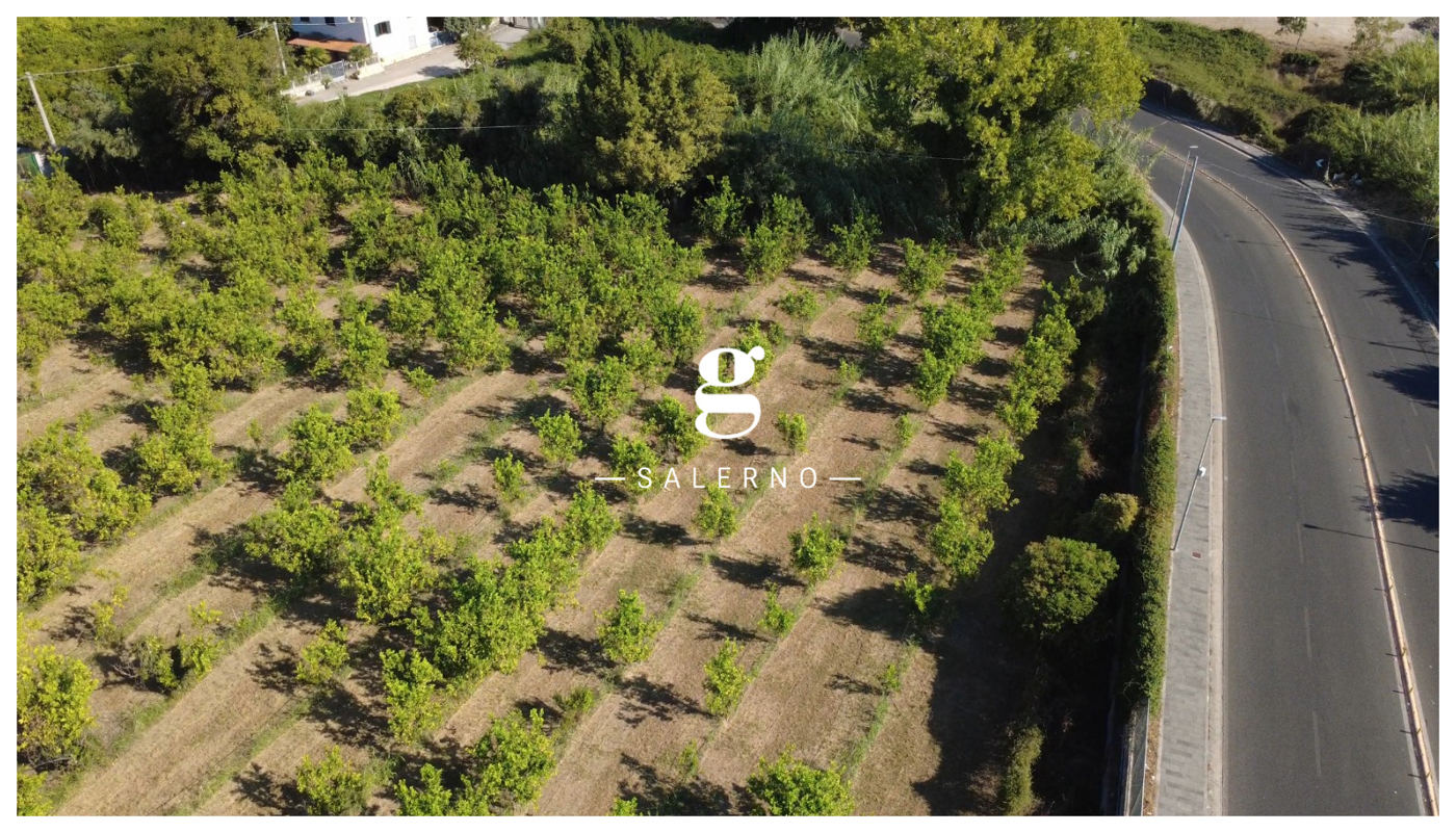 Terreno Agricolo in vendita a Salerno