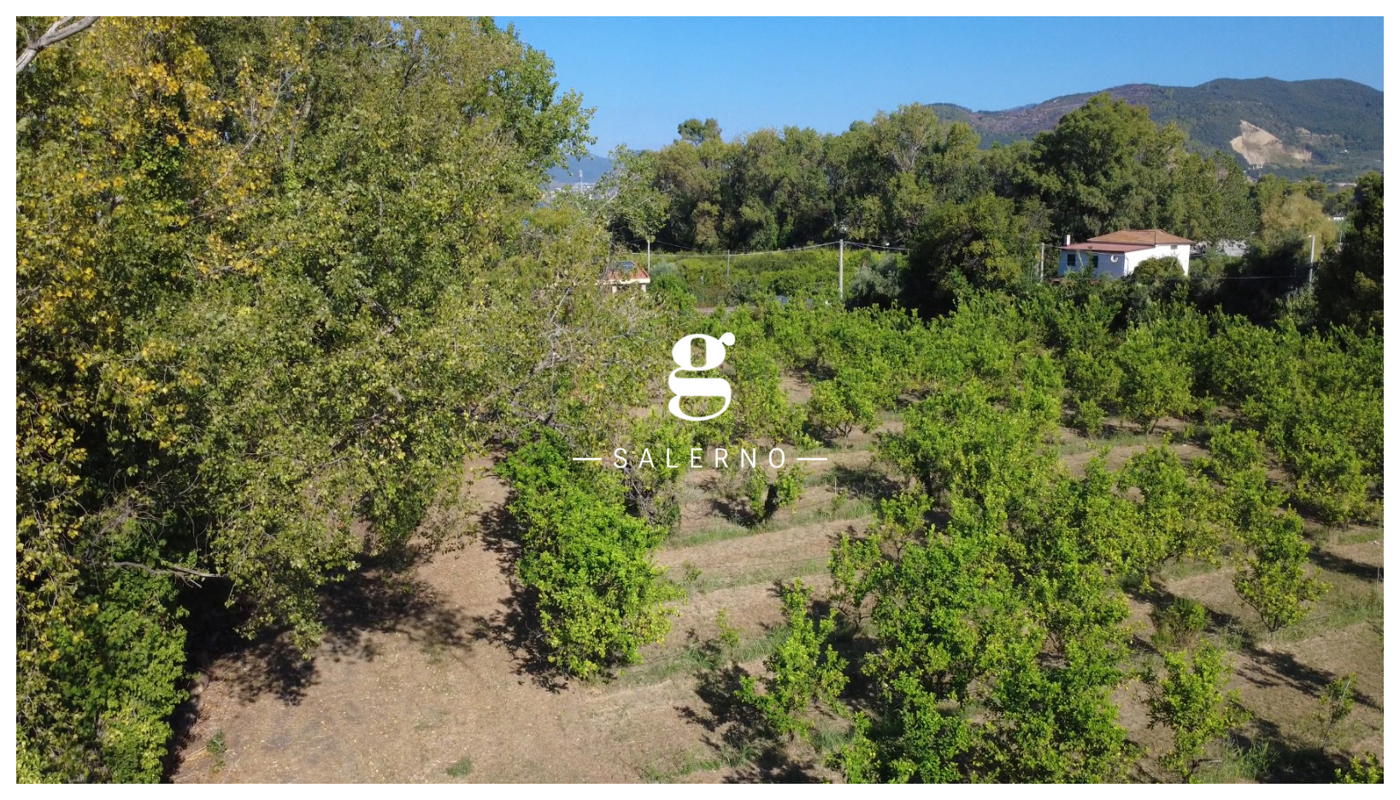 Terreno Agricolo in vendita a Salerno