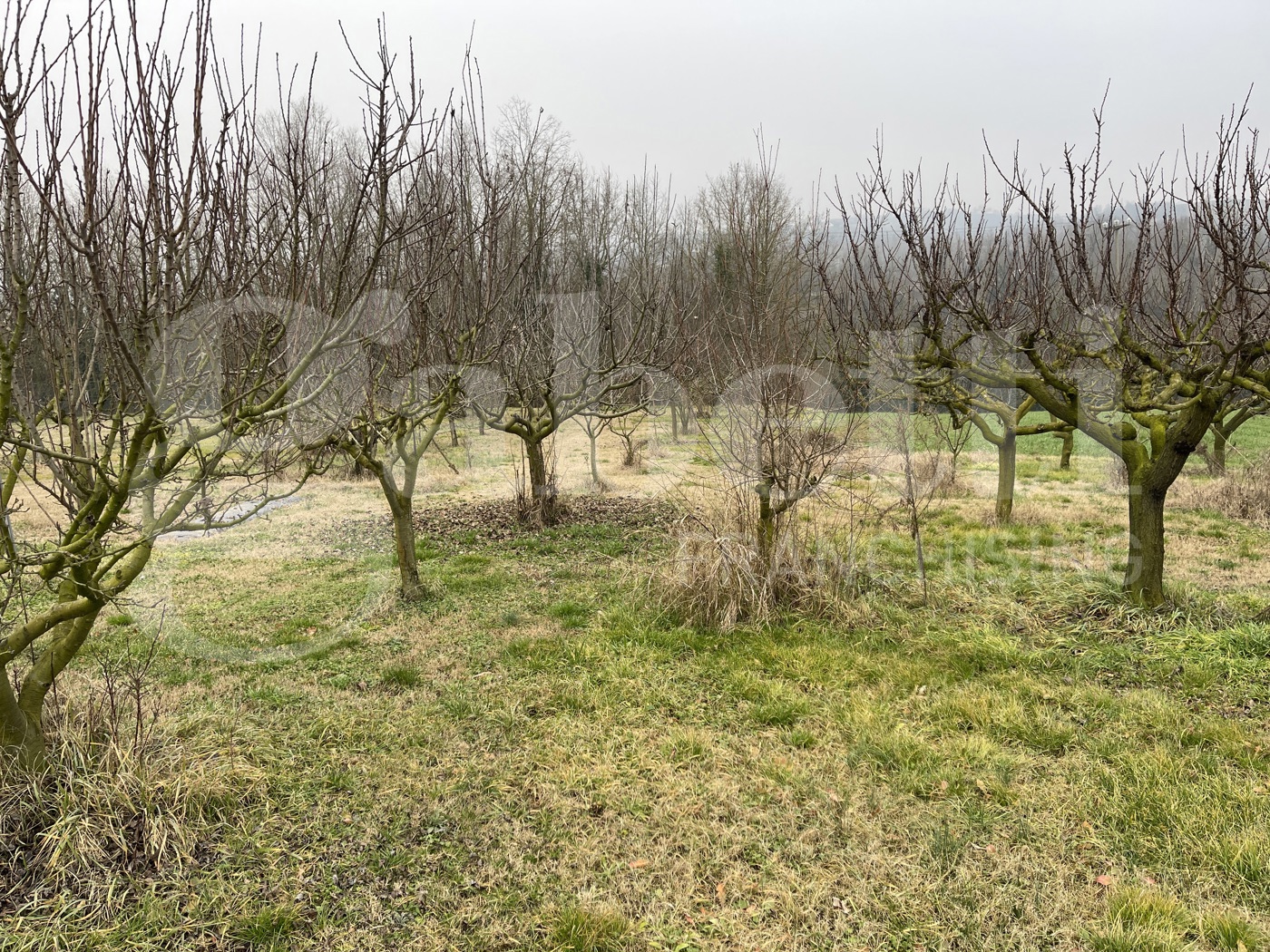Casa indipendente con giardino a Ferrere