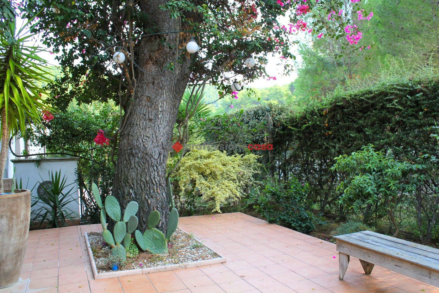 Villa in vendita a Vieste