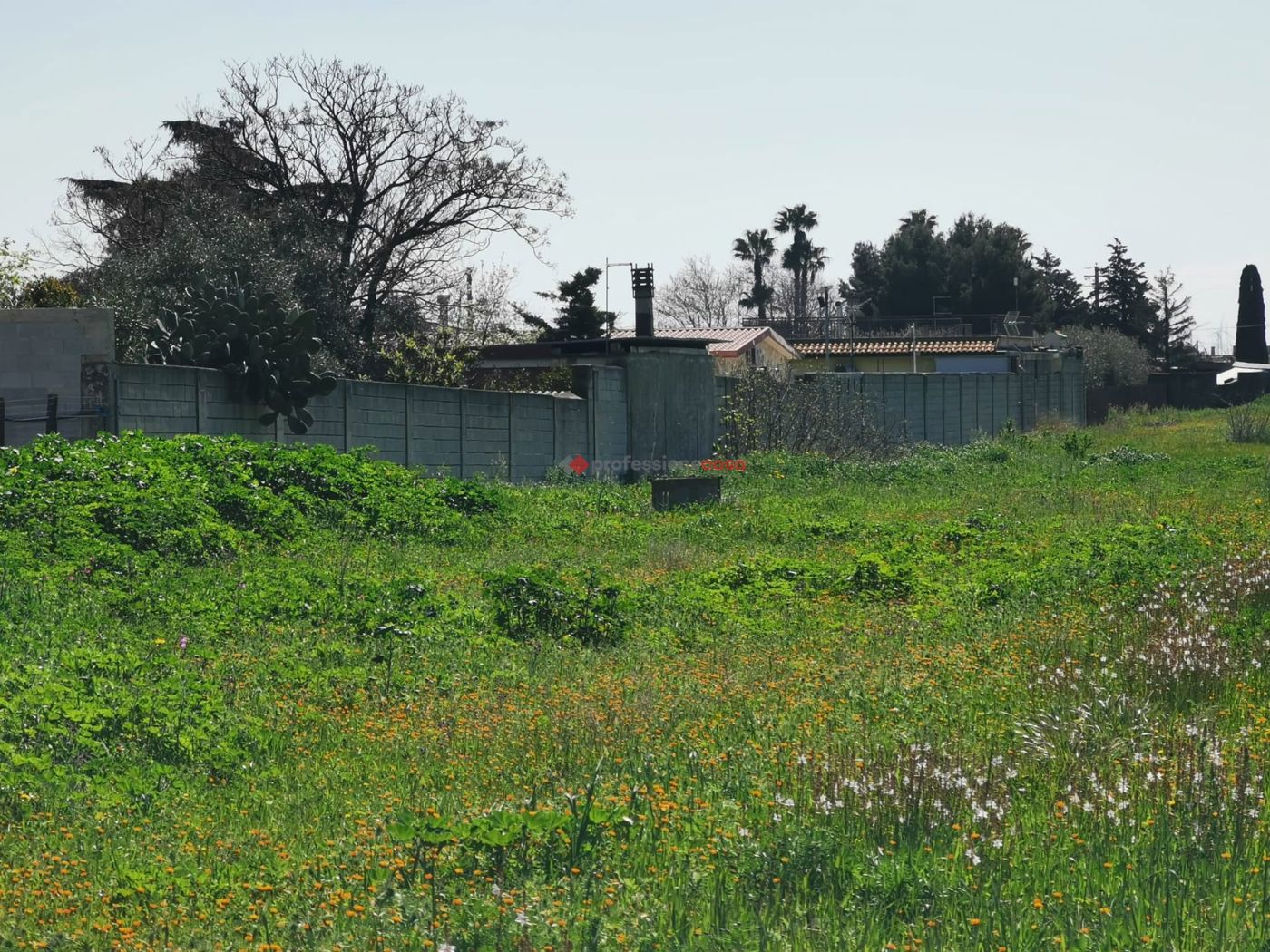 Terreno Agricolo in vendita a Foggia