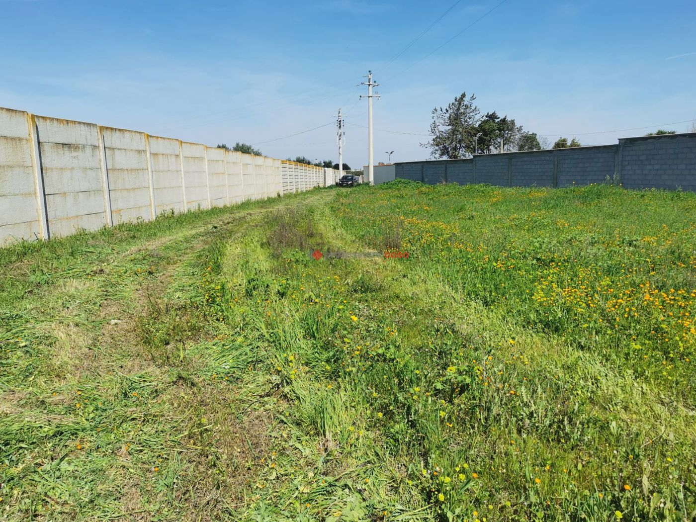 Terreno Agricolo in vendita a Foggia