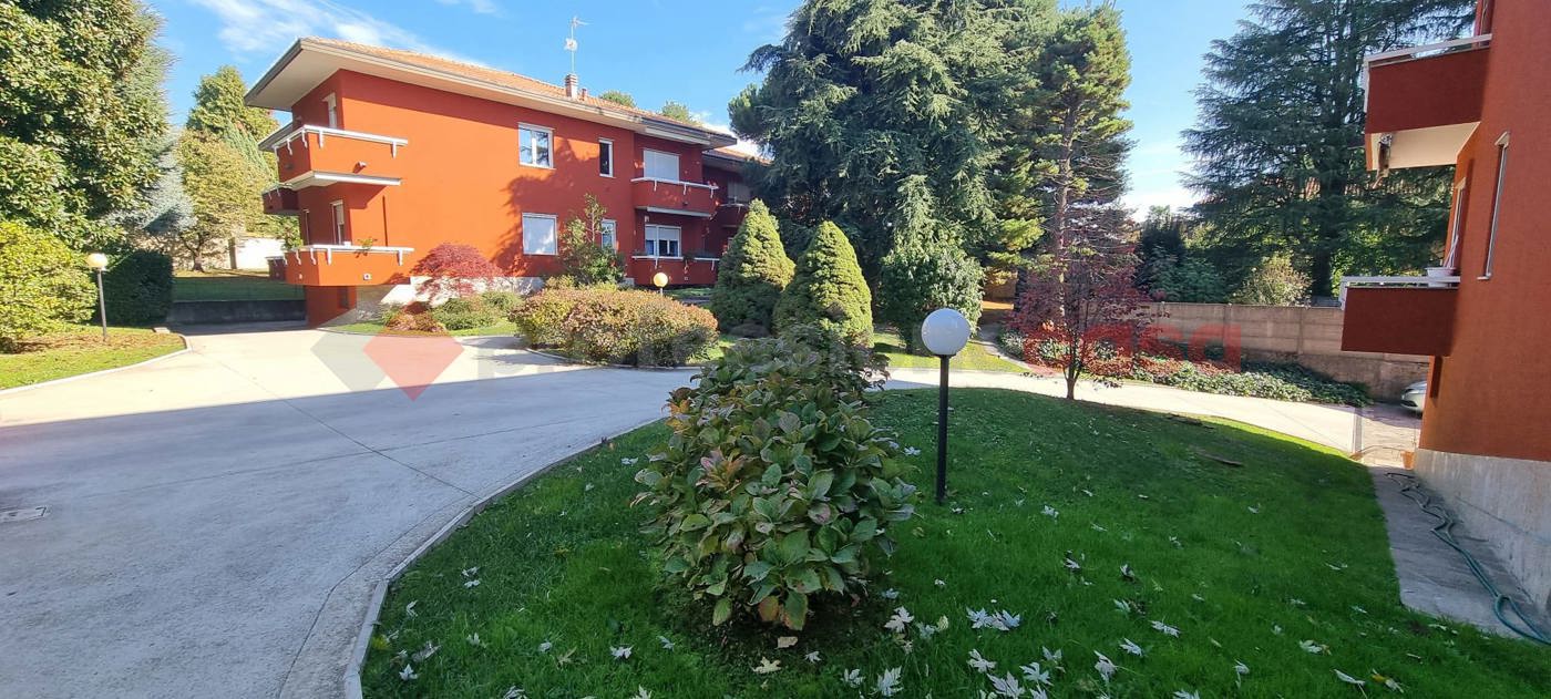 Trilocale in affitto a Cerro Maggiore