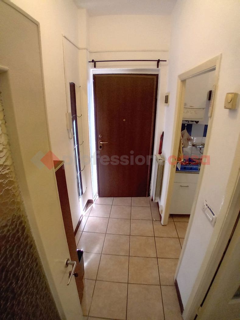 Monolocale arredato in affitto a Lainate