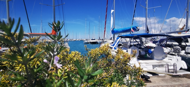 immagine annuncio 4 di 6