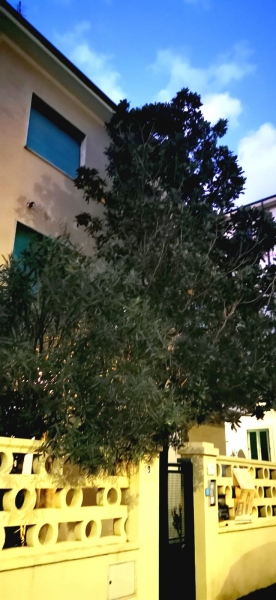 Bilocale classe A4 a Livorno