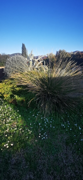 Bilocale in vendita a Santa Luce