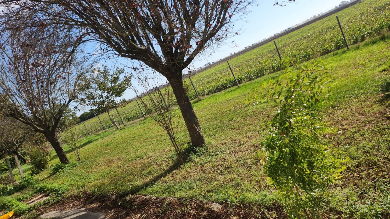 Villa con giardino in via brazzolo, Formignana